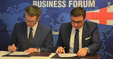 Деловой визит в Грузию 