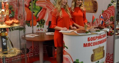 Презентация Могилевской области в Москве 