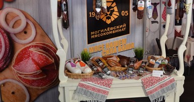 Презентация Могилевской области в Москве 
