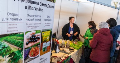 Х Республиканская строительная  выставка «Дом. Дача. Дизайн» 