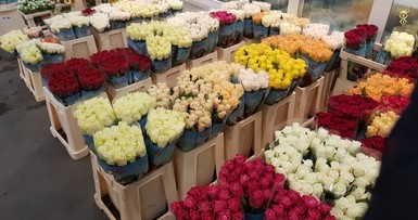 Деловой визит в Польшу, ФРГ 