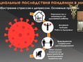 Вебинар