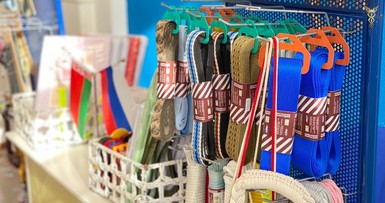 Встреча с делегацией Приморского края, Российская Федерация 